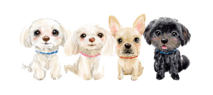 店舗休業のお知らせ